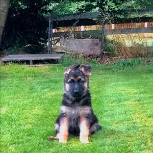 Meet your Posher, Samantha